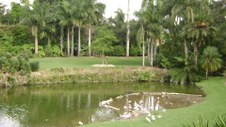 Enlarge photo 34