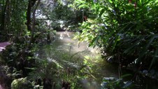 Enlarge photo 38