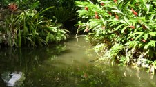 Enlarge photo 39
