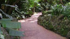 Enlarge photo 41