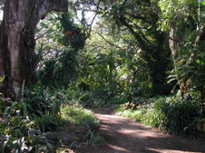 Enlarge photo 89