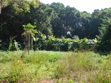 Enlarge photo 90