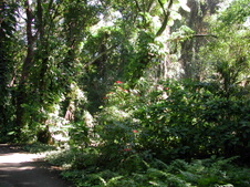 Enlarge photo 92