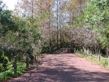 Enlarge photo 93