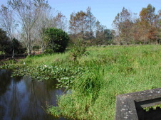 Enlarge photo 95