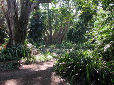 Enlarge photo 96