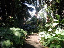 Enlarge photo 97