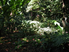 Enlarge photo 87
