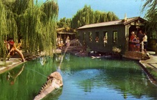 Enlarge photo 72