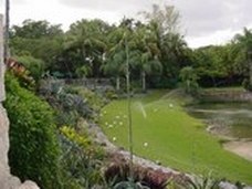 Enlarge photo 18