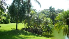 Enlarge photo 57