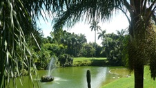 Enlarge photo 66