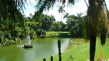Enlarge photo 67