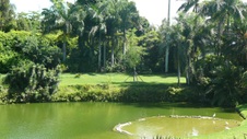Enlarge photo 68