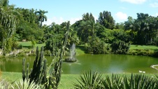 Enlarge photo 69