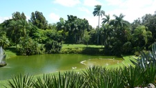 Enlarge photo 70
