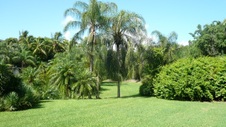 Enlarge photo 58