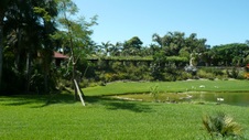 Enlarge photo 59