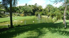 Enlarge photo 60