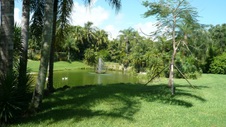 Enlarge photo 61