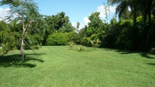 Enlarge photo 62