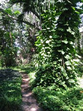 Enlarge photo 15