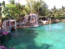 Enlarge photo 52