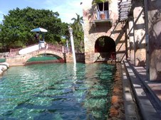 Enlarge photo 53