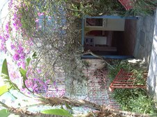 Enlarge photo 56