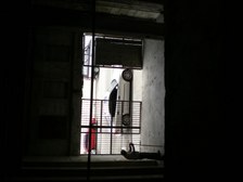Enlarge photo 56