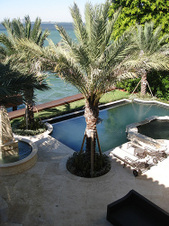 Enlarge photo 104