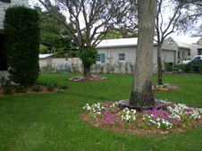 Enlarge photo 224