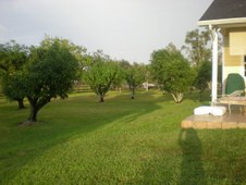 Enlarge photo 184