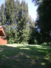 Enlarge photo 38