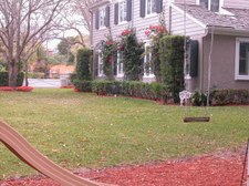 Enlarge photo 171