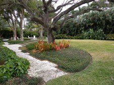 Enlarge photo 71