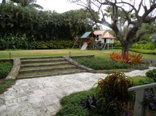 Enlarge photo 78