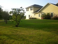 Enlarge photo 62