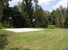 Enlarge photo 55
