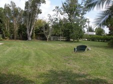 Enlarge photo 57