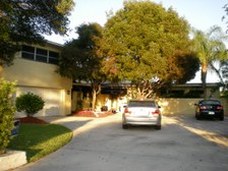 Enlarge photo 41