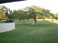 Enlarge photo 44