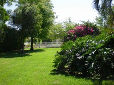 Enlarge photo 93