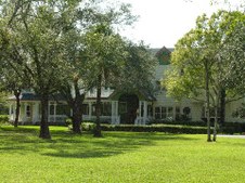 Enlarge photo 147