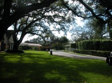 Enlarge photo 83