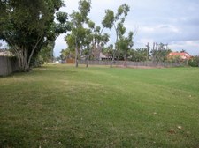Enlarge photo 49