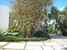 Enlarge photo 30