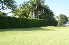 Enlarge photo 97