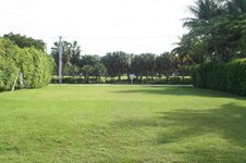 Enlarge photo 98