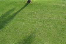 Enlarge photo 46